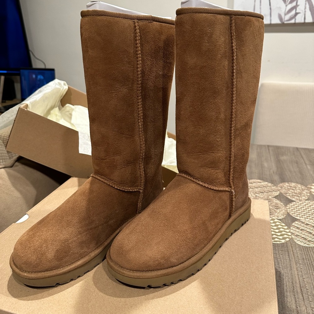 UGG Brown Winter & Rain Boots